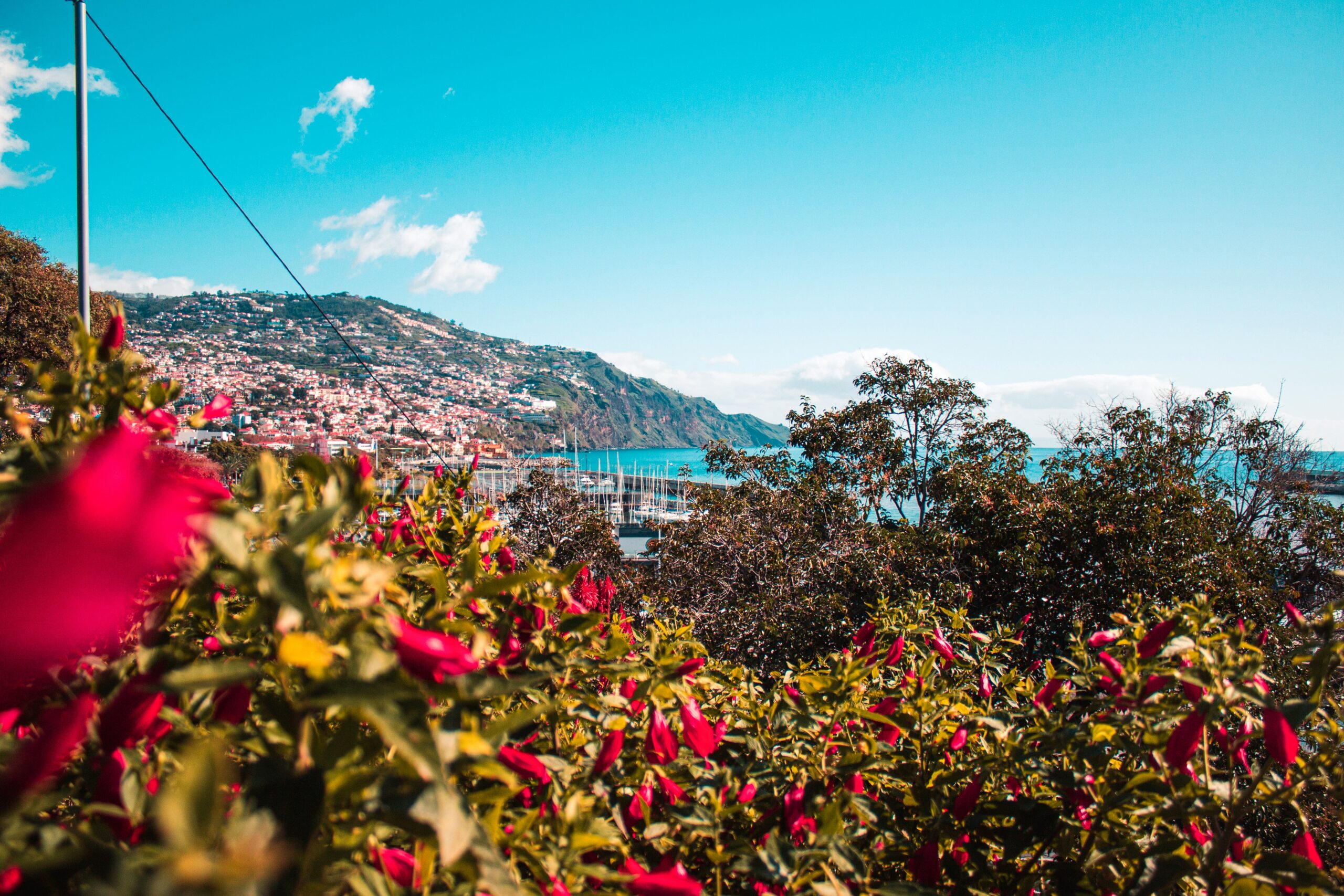 Paisaje intenso en Madeira