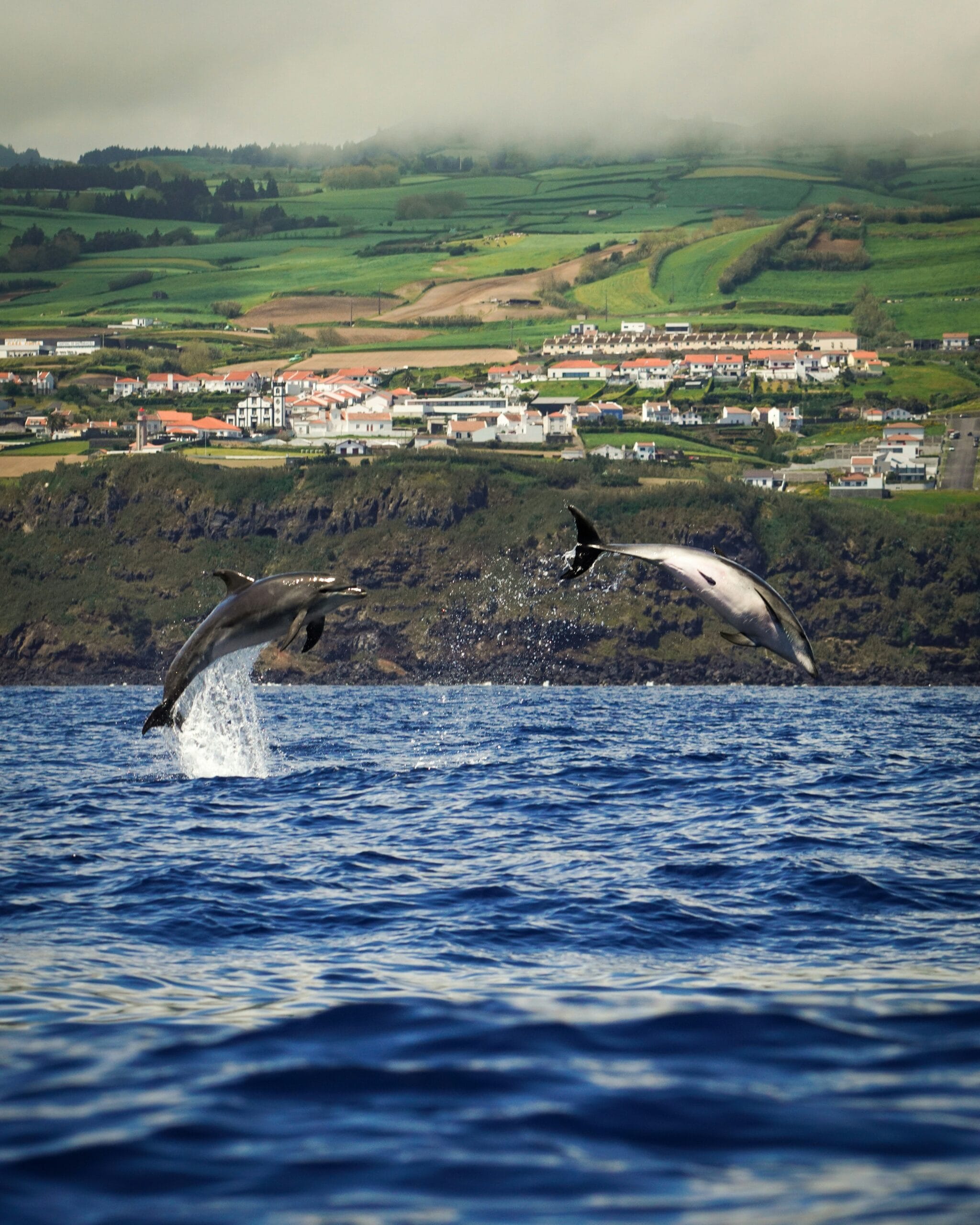 Atlantic coastline in the Azores