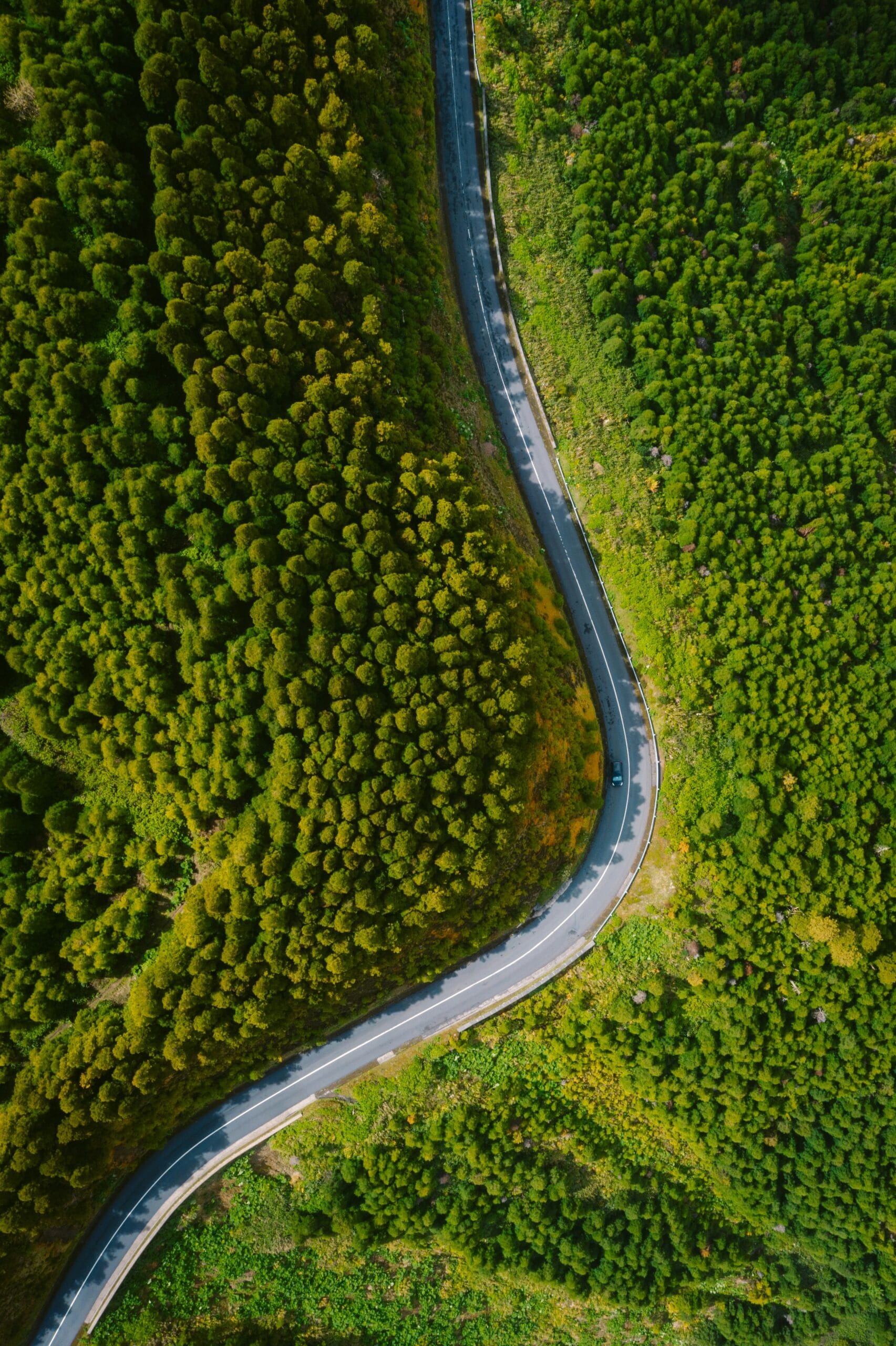 Remote landscape in the Azores