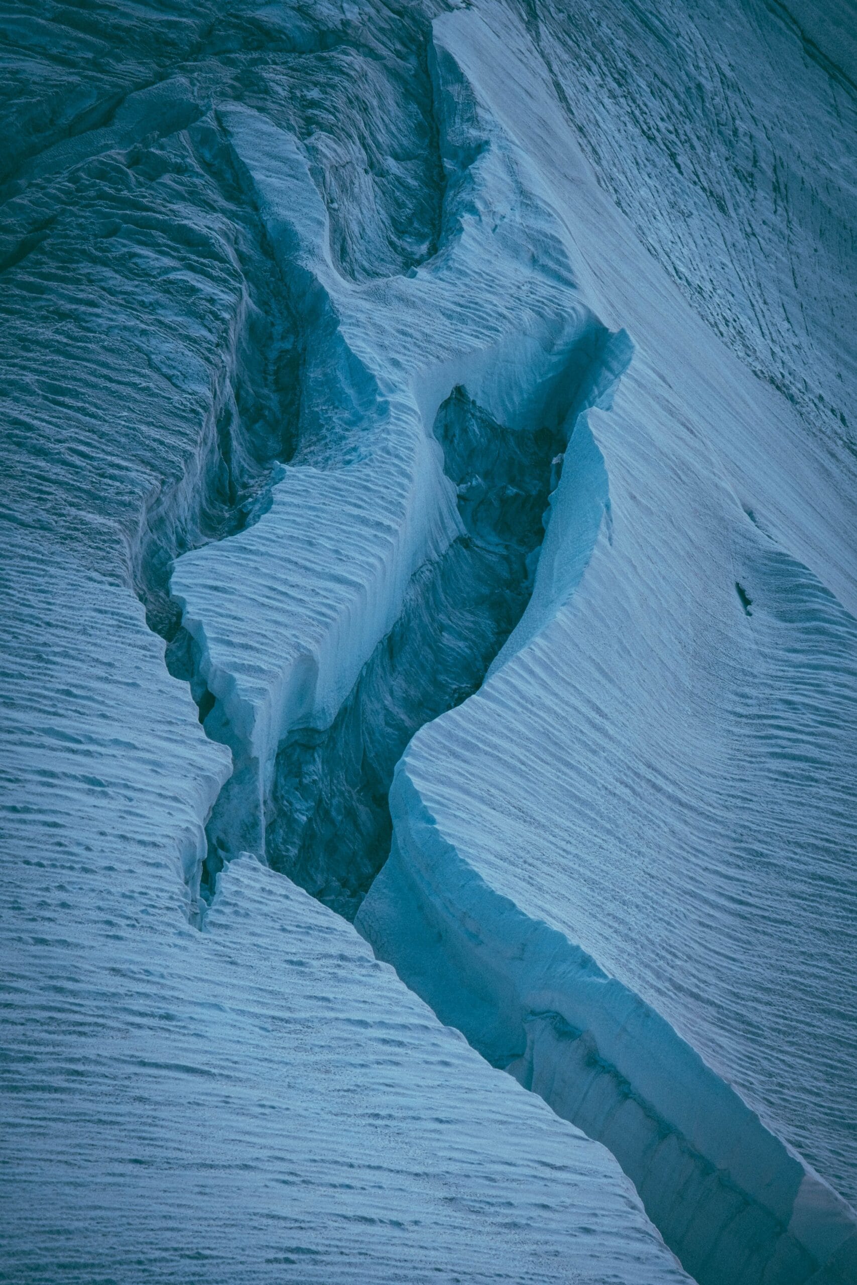 Icebergs and Arctic waters in Greenland