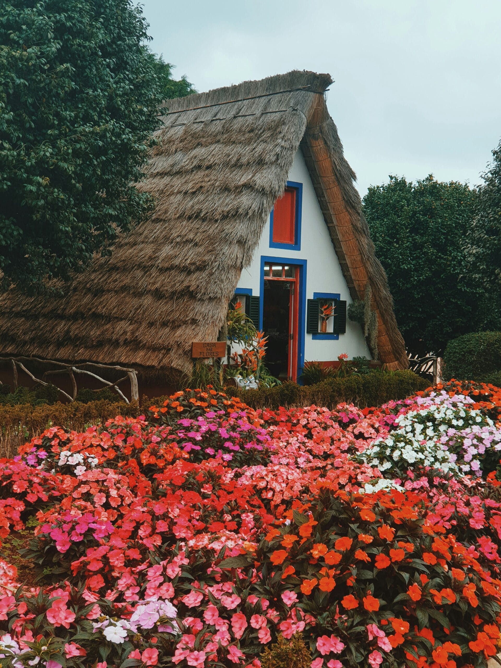 Colourful flowers and traditional scenery in Madeira