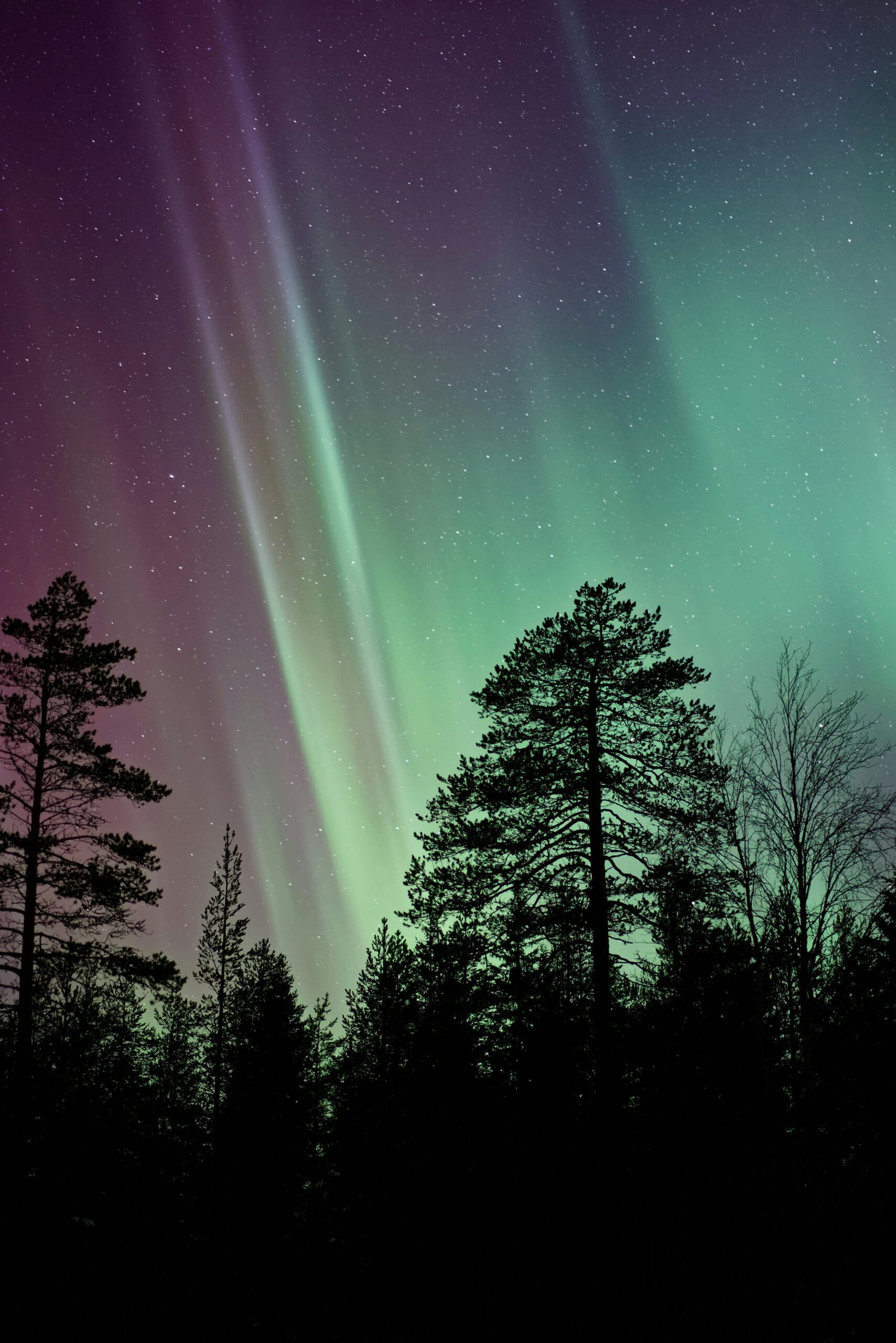 Northern lights over Lapland